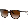 Lunettes de soleil Ray Ban RB4378 Polished Havana Gradient Brown