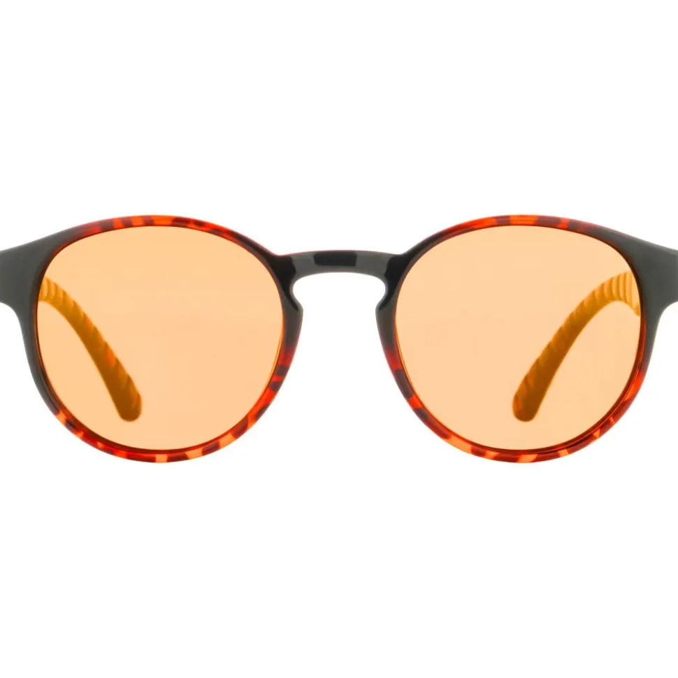 Lunettes de soleil Red Bull Spect Eden Shiny Havana Brown Bronze Mirror Polarized