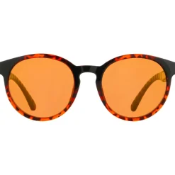 Lunettes de soleil Red Bull Spect Ever Shiny Havana Brown Bronze Mirror