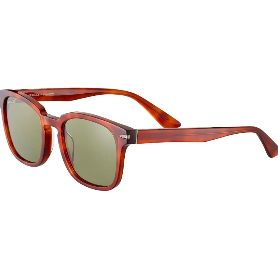 Lunettes de soleil Serengeti Ethan Shiny Classic Havana Polarized 555nm