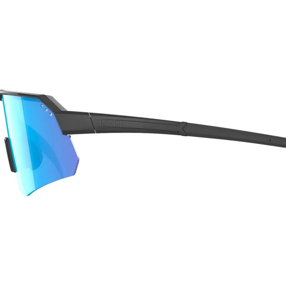 Lunettes de soleil Tripoint Treriksroset Matt Black Smoke Blue Multi