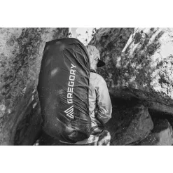 Sac à dos Gregory Baltoro 65 Alaska Blue
